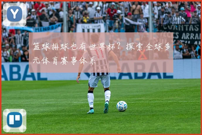篮球排球也有世界杯？探索全球多元体育赛事体系