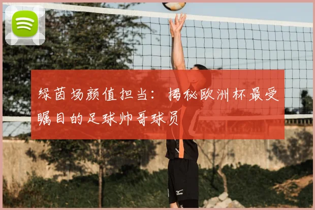 绿茵场颜值担当：揭秘欧洲杯最受瞩目的足球帅哥球员