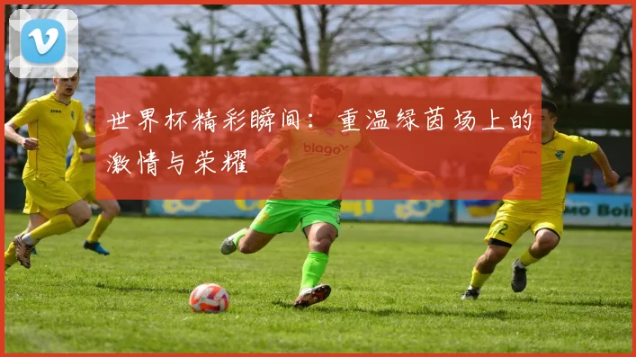 世界杯精彩瞬间:重温绿茵场上的激情与荣耀