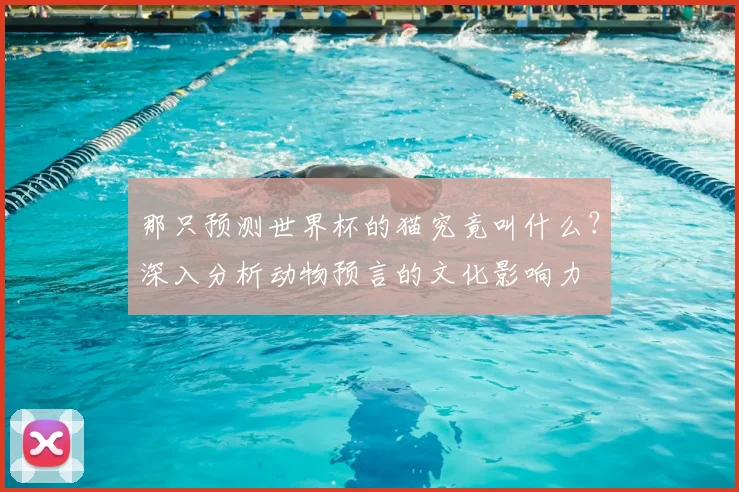 那只预测世界杯的猫究竟叫什么？深入分析动物预言的文化影响力