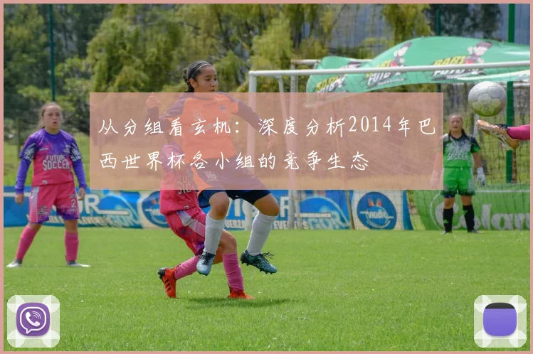 从分组看玄机：深度分析2014年巴西世界杯各小组的竞争生态