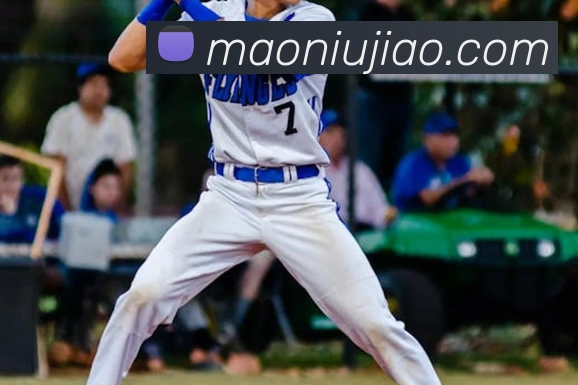 开云体育APP 体育赛事宣传图